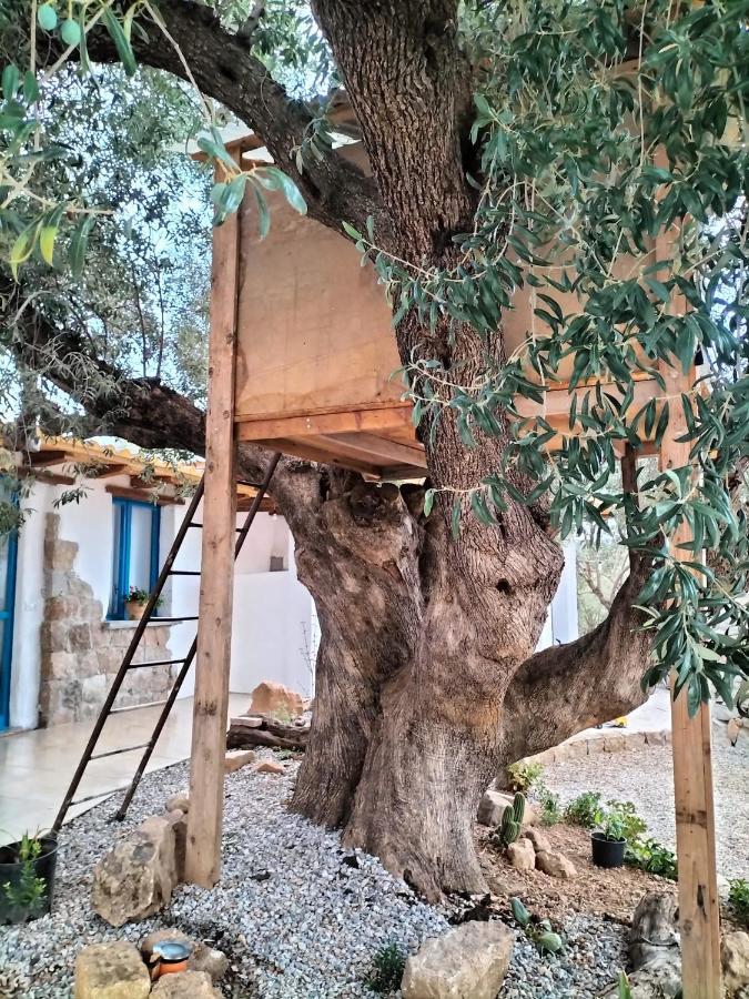 Bed and Breakfast Sole In Ogliastra Jerzu Экстерьер фото