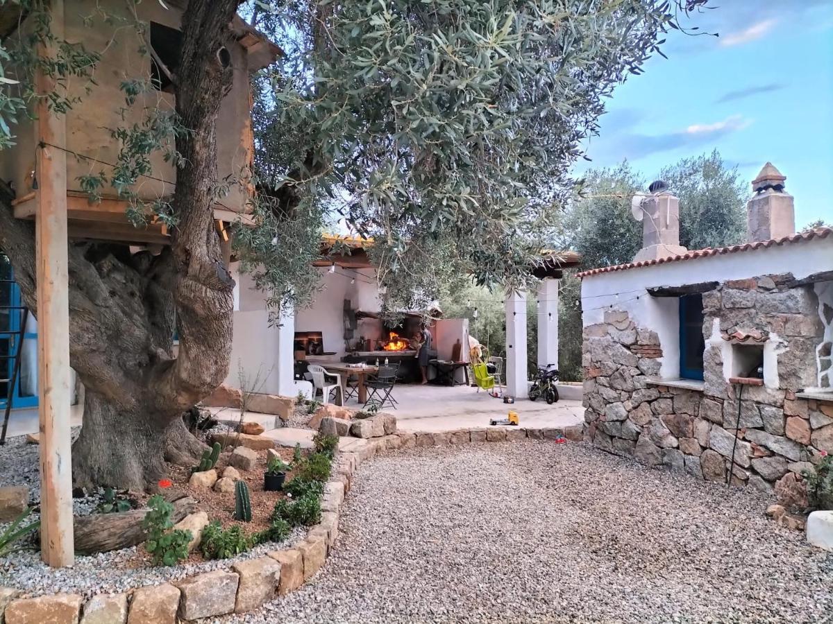 Bed and Breakfast Sole In Ogliastra Jerzu Экстерьер фото