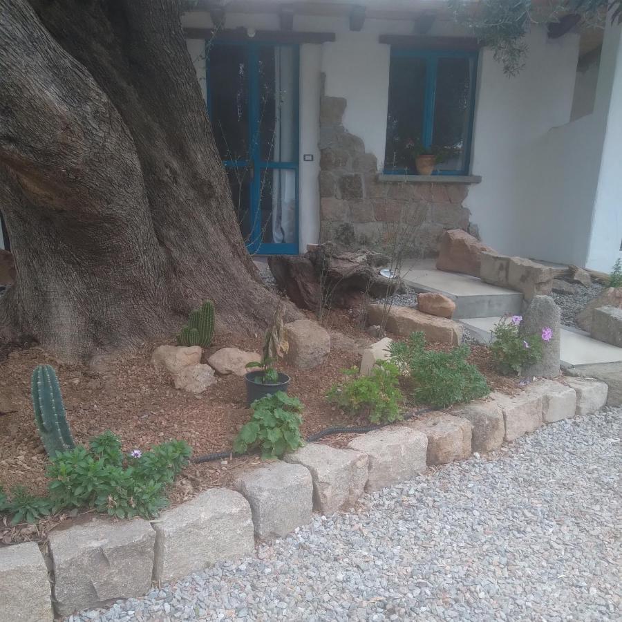 Bed and Breakfast Sole In Ogliastra Jerzu Экстерьер фото