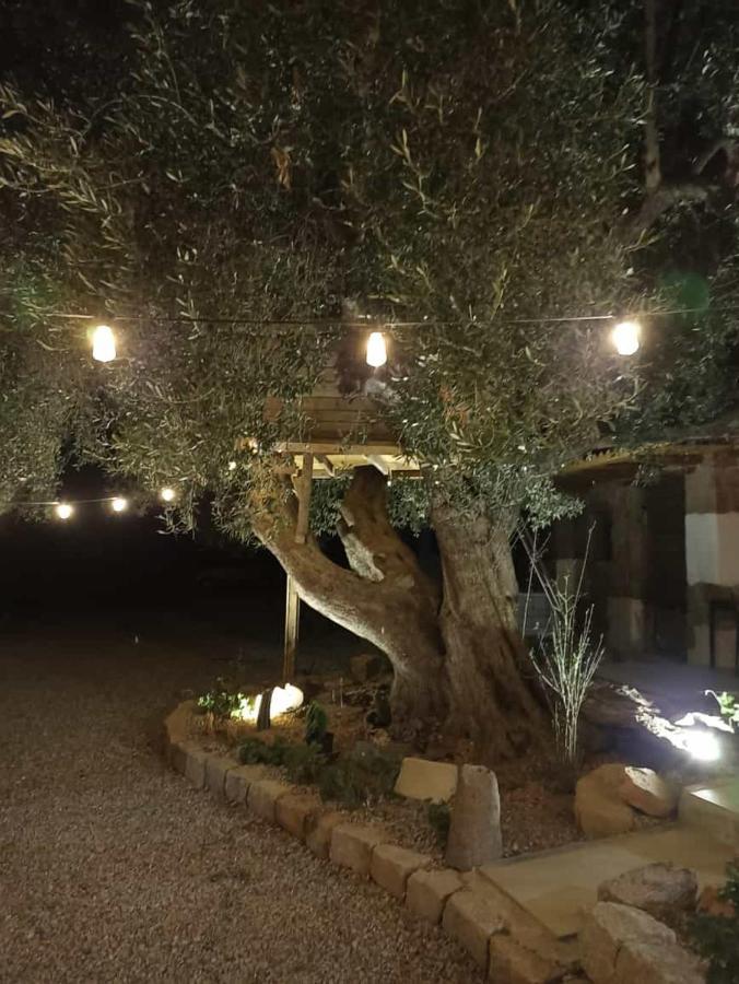 Bed and Breakfast Sole In Ogliastra Jerzu Экстерьер фото